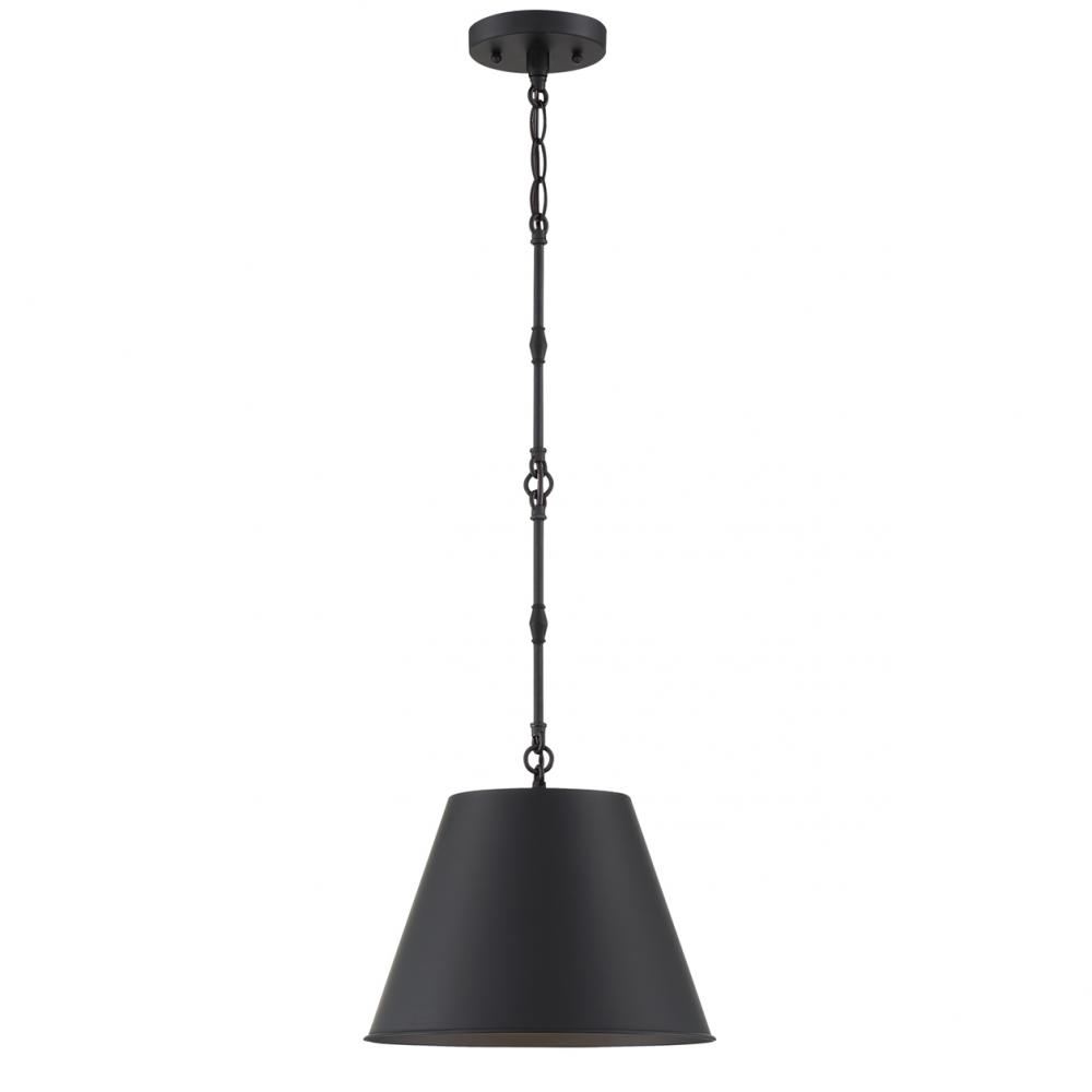 Alden 1-Light Pendant in Matte Black