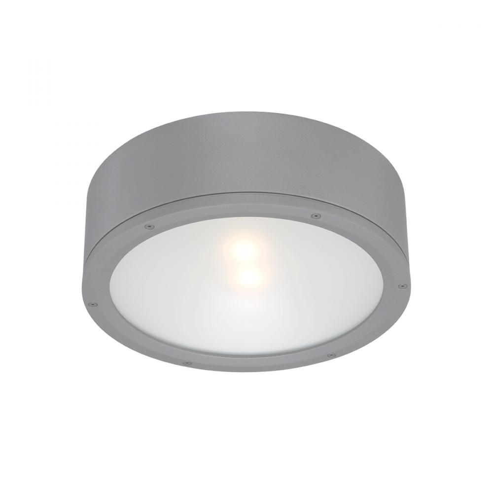 TUBE Outdoor Flush Mount Light