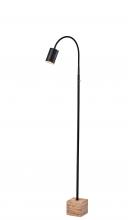 Adesso 3966-01 - Rutherford LED Floor Lamp