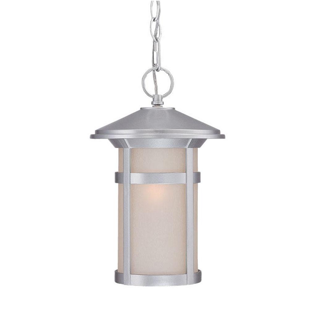 Phoenix Collection Hanging Lantern 1-Light Outdoor Brushed Silver Light Fixture