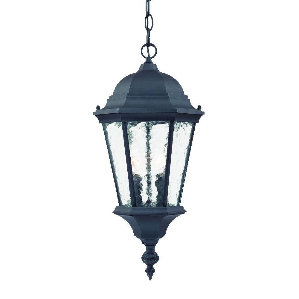 Telfair Collection Hanging Lantern 2-Light Outdoor Matte Black Light Fixture