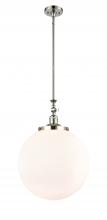 Innovations Lighting 206-PN-G201-16 - Beacon - 1 Light - 12 inch - Polished Nickel - Stem Hung - Mini Pendant