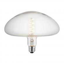 Innovations Lighting BB-250-LED - 5 Watt LED Vintage Light Bulb