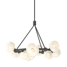 Hubbardton Forge 131069-SKT-MULT-20-FD0710 - Ume 9-Light Ring Pendant