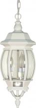 Nuvo 60/894 - Central Park - 3 Light 20" Hanging Lantern with Clear Beveled Glass - White Finish