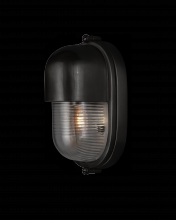 Currey 5500-0050 - Maritime Black Outdoor Wall Sconce